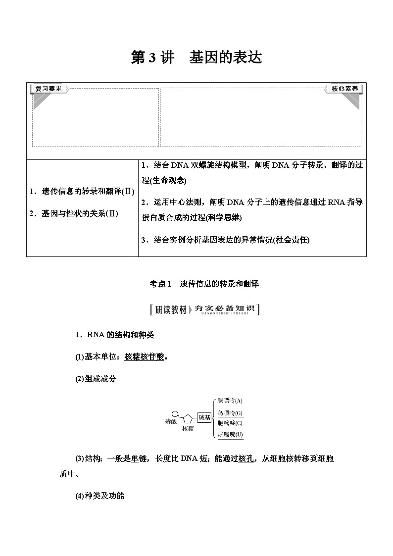 2024届人教版高中生物一轮复习基因的表达学案01