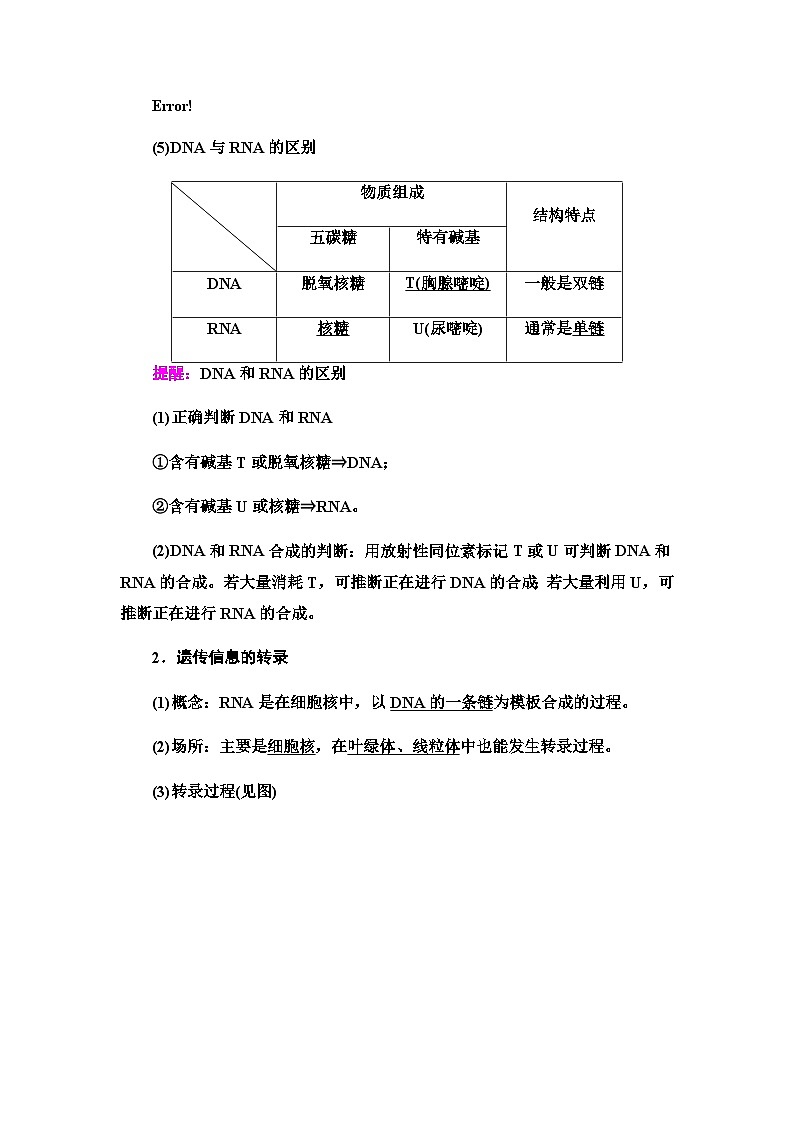 2024届人教版高中生物一轮复习基因的表达学案02