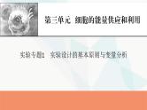 2024届人教版高考生物一轮复习实验专题1实验设计的基本原则与变量分析课件
