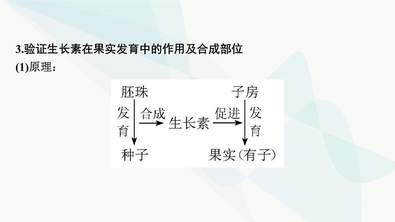 2024届人教版高考生物一轮复习实验专题3植物激素调节实验探究课件06