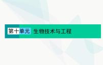 2024届人教版高考生物一轮复习植物细胞工程课件（单选版）