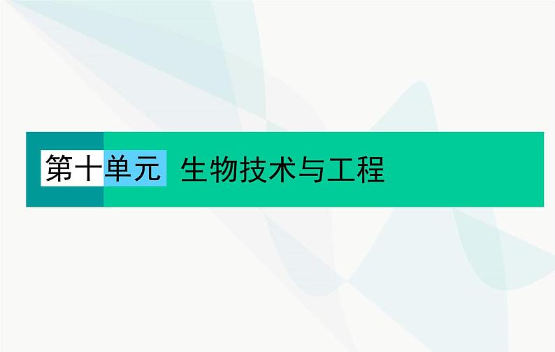 2024届人教版高考生物一轮复习植物细胞工程课件（单选版）01