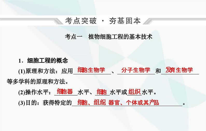 2024届人教版高考生物一轮复习植物细胞工程课件（单选版）04