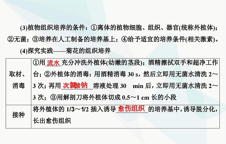 2024届人教版高考生物一轮复习植物细胞工程课件（单选版）07