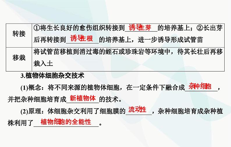 2024届人教版高考生物一轮复习植物细胞工程课件（单选版）08