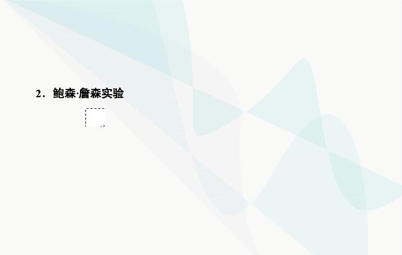 2024届人教版高考生物一轮复习植物生命活动的调节课件（单选版）05