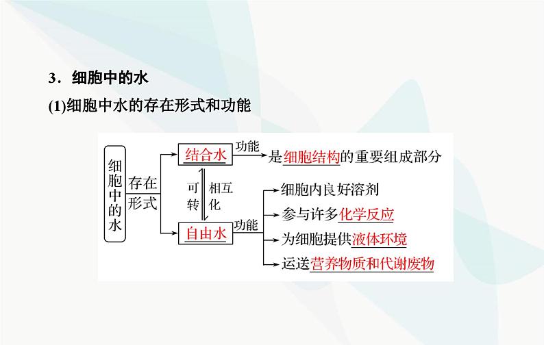 2024届人教版高考生物一轮复习细胞中的无机物、糖类和脂质课件（单选版）第6页