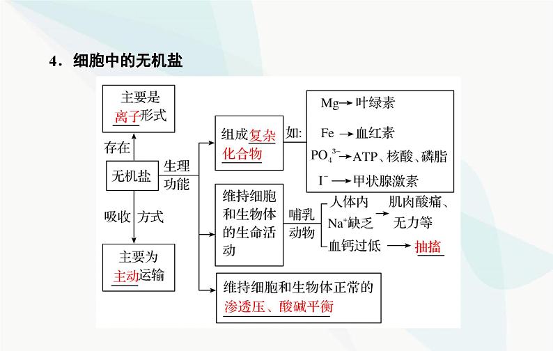 2024届人教版高考生物一轮复习细胞中的无机物、糖类和脂质课件（单选版）第8页