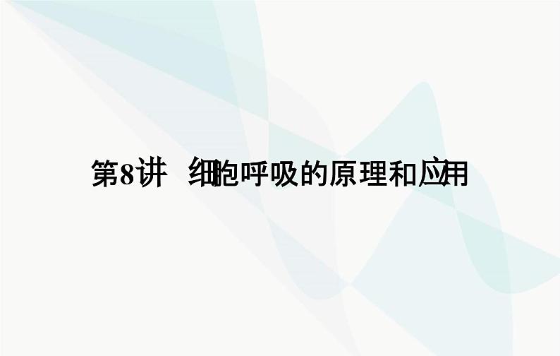 2024届人教版高考生物一轮复习细胞呼吸的原理和应用课件（单选版）02