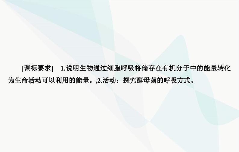 2024届人教版高考生物一轮复习细胞呼吸的原理和应用课件（单选版）03