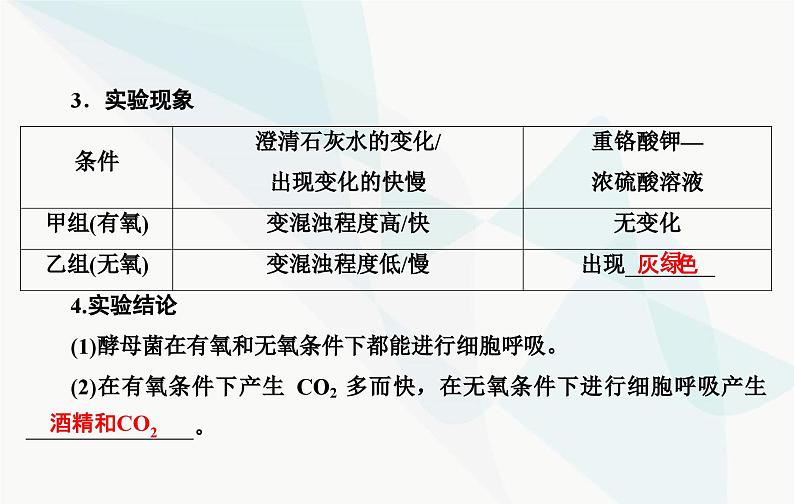 2024届人教版高考生物一轮复习细胞呼吸的原理和应用课件（单选版）07