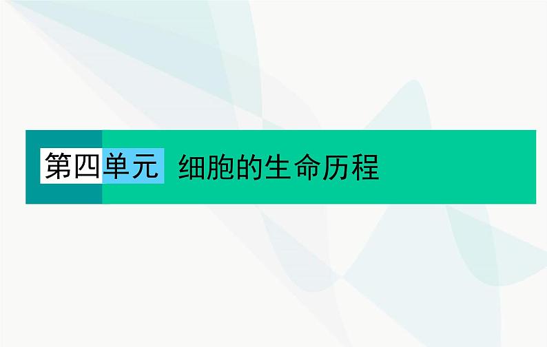 2024届人教版高考生物一轮复习细胞的增殖课件（单选版）第1页