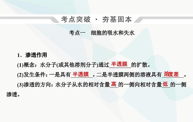 2024届人教版高考生物一轮复习细胞的物质输入和输出课件（单选版）04