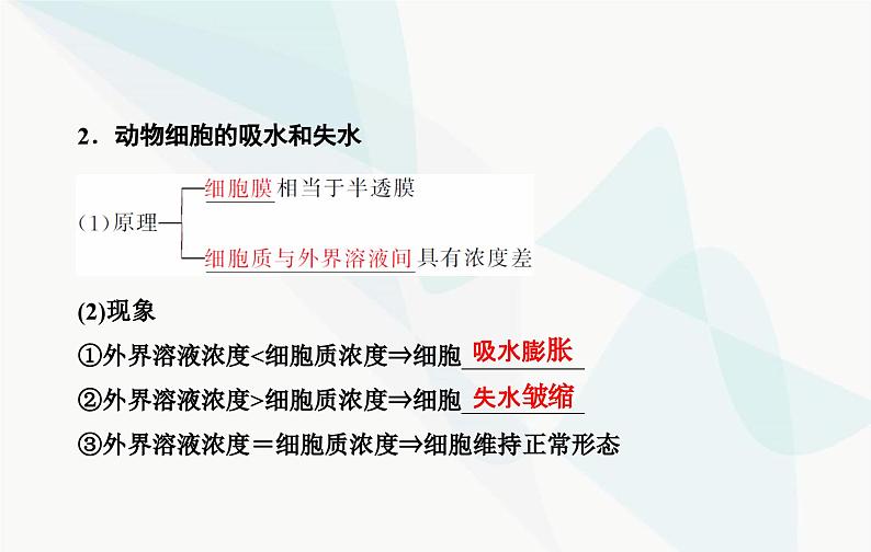 2024届人教版高考生物一轮复习细胞的物质输入和输出课件（单选版）05