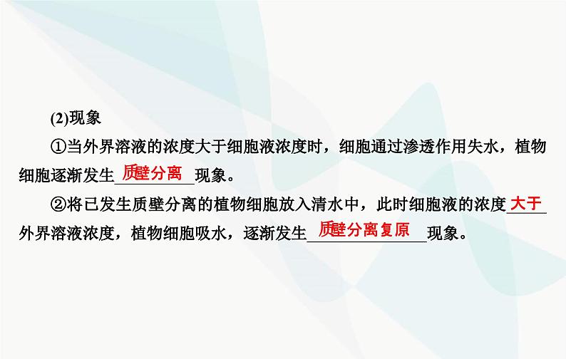 2024届人教版高考生物一轮复习细胞的物质输入和输出课件（单选版）07