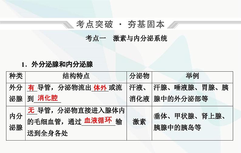 2024届人教版高考生物一轮复习体液调节课件（单选版）第4页