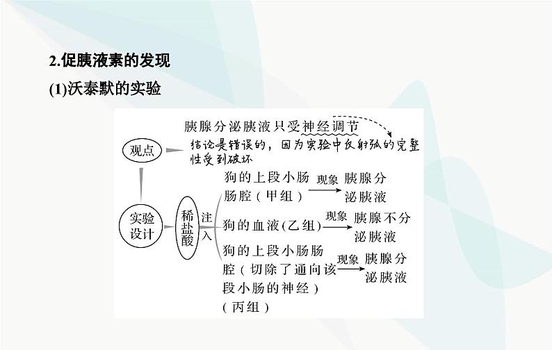 2024届人教版高考生物一轮复习体液调节课件（单选版）第5页