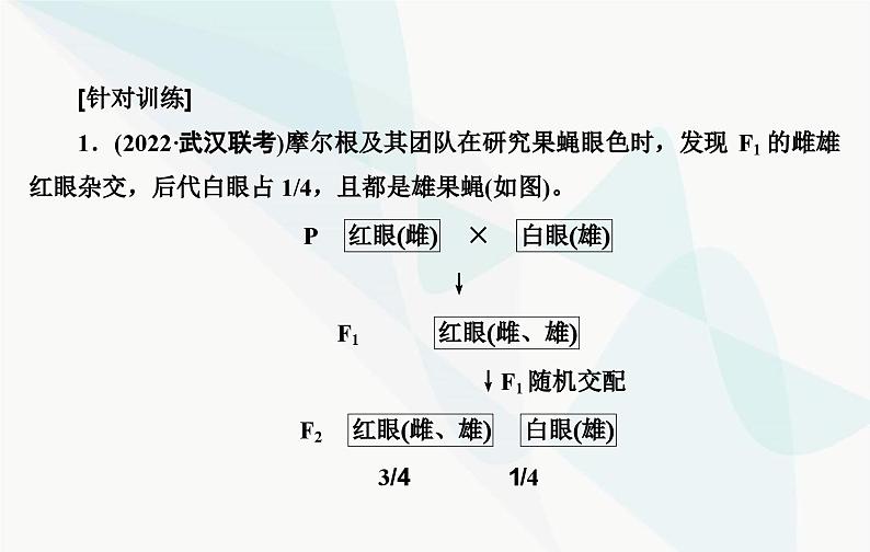 2024届人教版高考生物一轮复习实验技能课04实验假设与结论课件（单选版）04