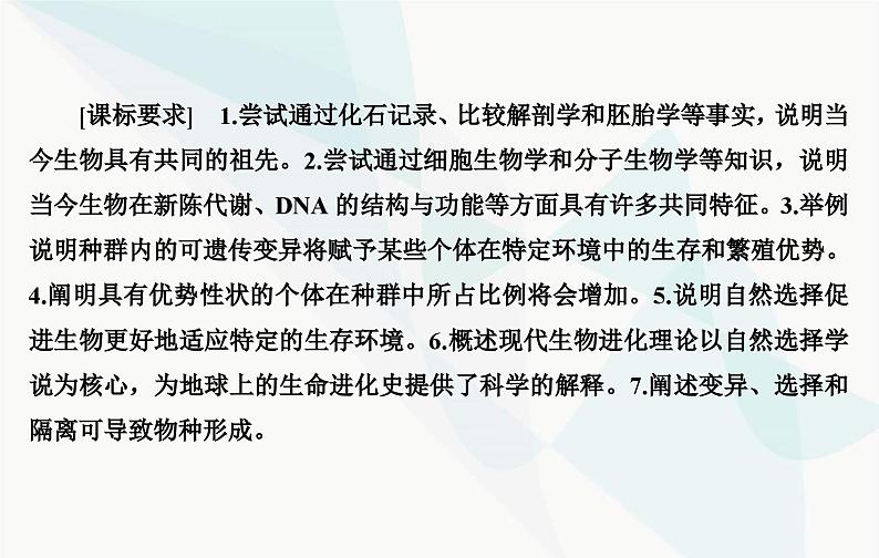 2024届人教版高考生物一轮复习生物的进化课件（单选版）03