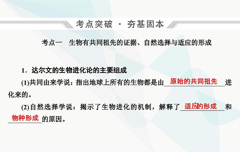 2024届人教版高考生物一轮复习生物的进化课件（单选版）04