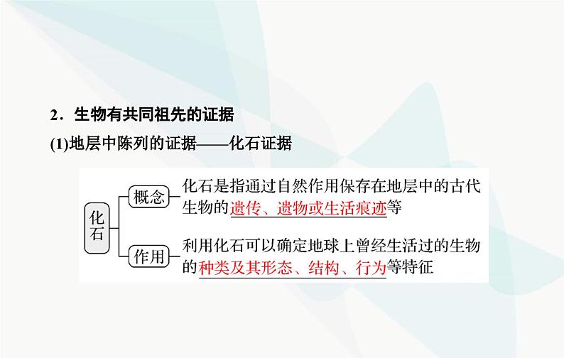 2024届人教版高考生物一轮复习生物的进化课件（单选版）05