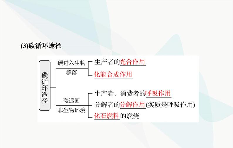 2024届人教版高考生物一轮复习生态系统的物质循环、信息传递及其稳定性课件（单选版）07