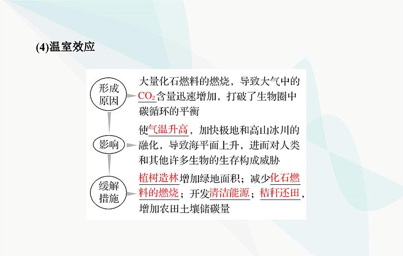 2024届人教版高考生物一轮复习生态系统的物质循环、信息传递及其稳定性课件（单选版）08