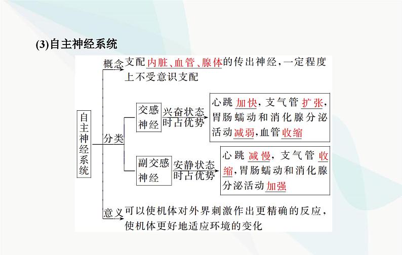 2024届人教版高考生物一轮复习神经调节课件（单选版）第6页