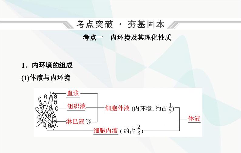 2024届人教版高考生物一轮复习人体的内环境与稳态课件（单选版）第8页