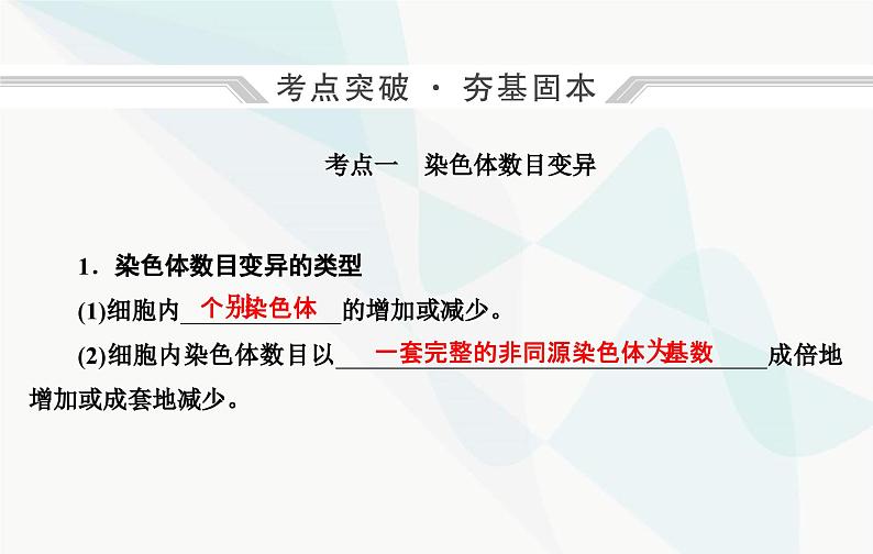 2024届人教版高考生物一轮复习染色体变异课件（单选版）04