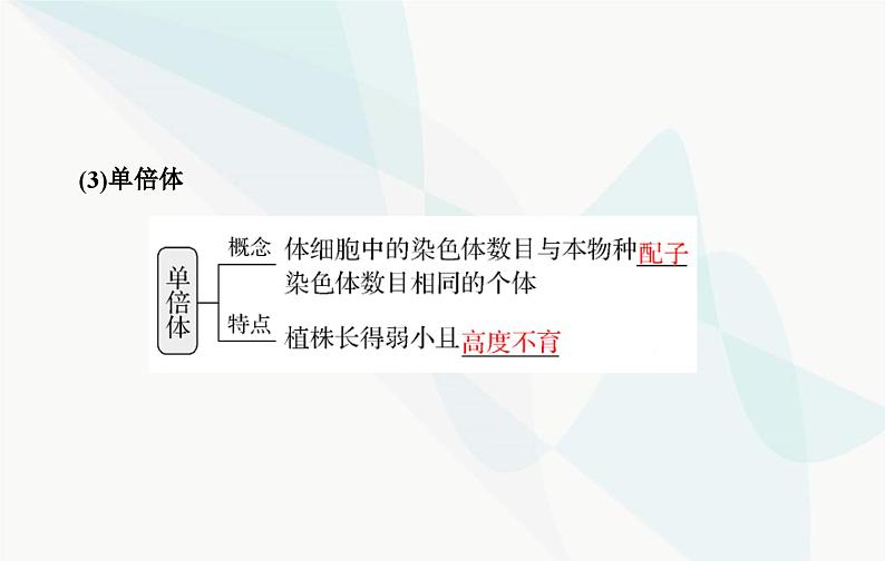 2024届人教版高考生物一轮复习染色体变异课件（单选版）07