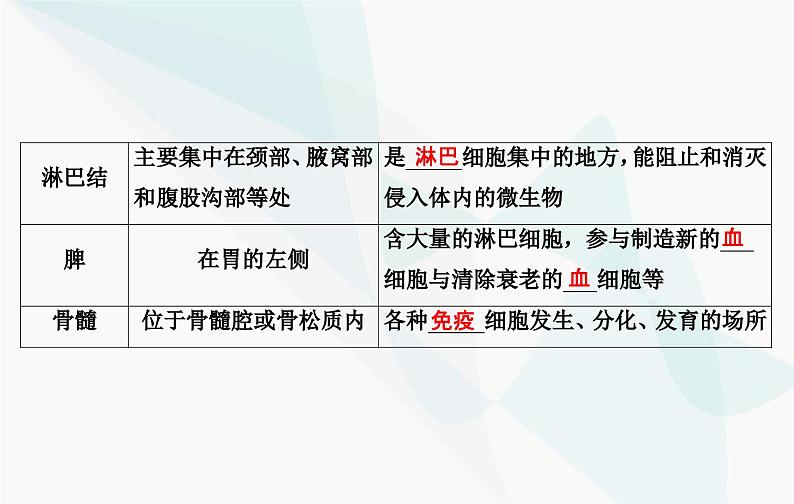 2024届人教版高考生物一轮复习免疫调节课件（单选版）第5页