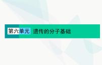 2024届人教版高考生物一轮复习DNA是主要的遗传物质课件（单选版）