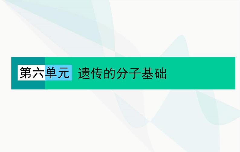 2024届人教版高考生物一轮复习DNA是主要的遗传物质课件（单选版）第1页