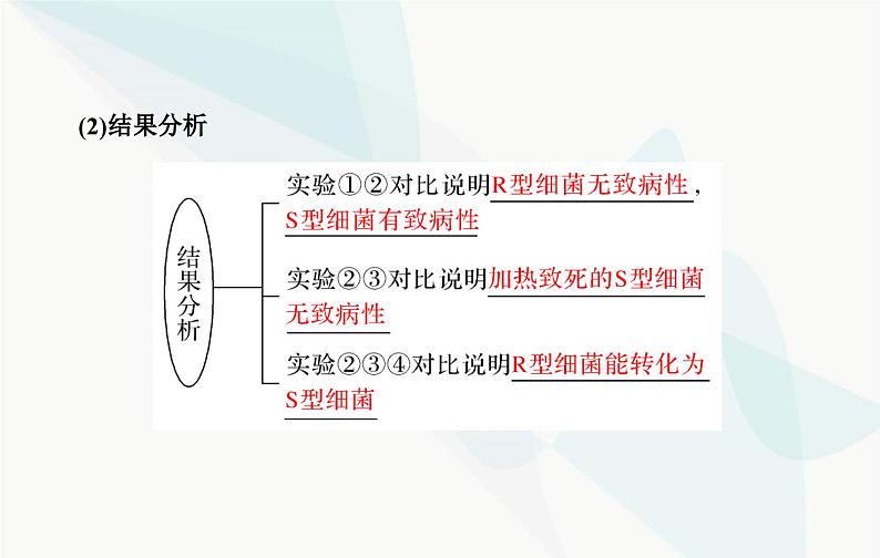 2024届人教版高考生物一轮复习DNA是主要的遗传物质课件（单选版）第6页