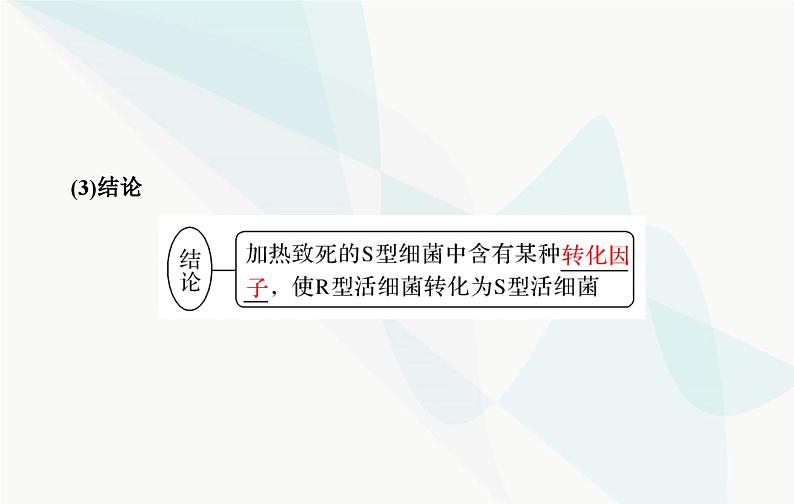 2024届人教版高考生物一轮复习DNA是主要的遗传物质课件（单选版）第7页