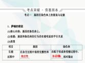 2024届人教版高考生物一轮复习伴性遗传和人类遗传病课件（单选版）