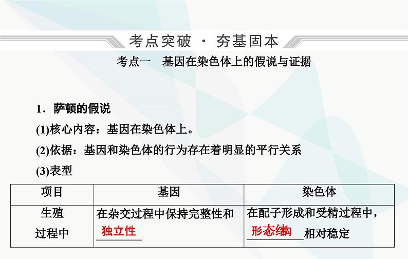 2024届人教版高考生物一轮复习伴性遗传和人类遗传病课件（单选版）第4页