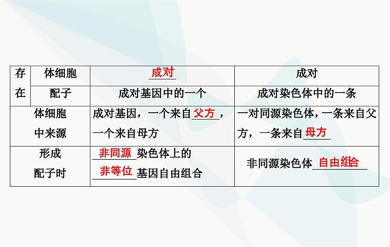 2024届人教版高考生物一轮复习伴性遗传和人类遗传病课件（单选版）第5页