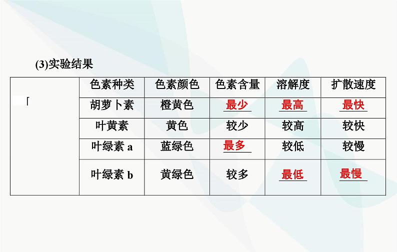 2024届人教版高考生物一轮复习光合作用和能量转化课件（单选版）06