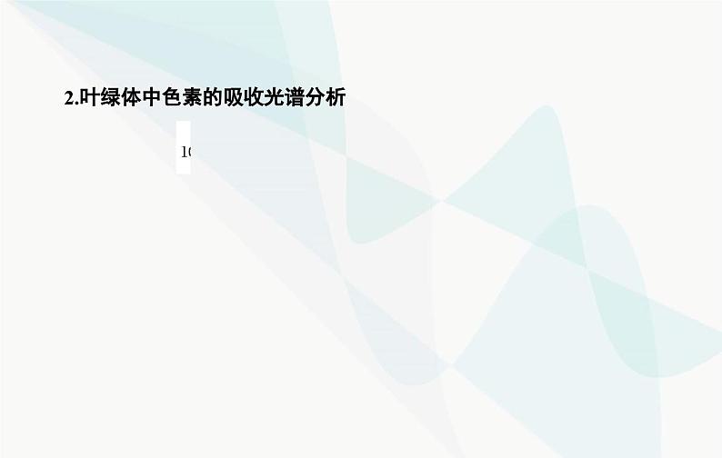 2024届人教版高考生物一轮复习光合作用和能量转化课件（单选版）07