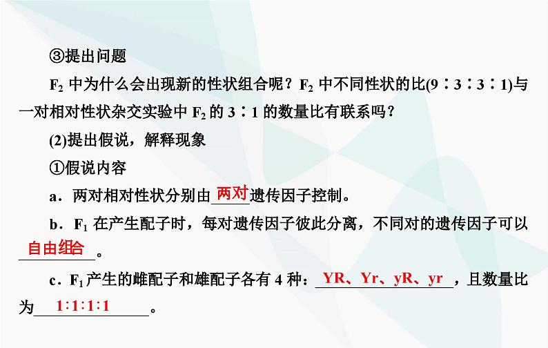 2024届人教版高考生物一轮复习基因的自由组合定律课件（单选版）06