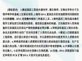 2024届人教版高考生物一轮复习基因工程及生物技术的安全性与伦理问题课件（单选版）