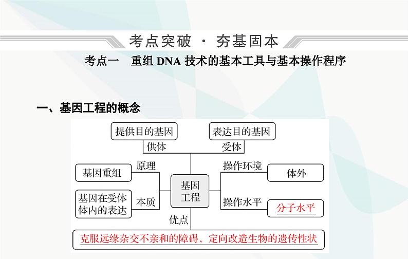 2024届人教版高考生物一轮复习基因工程及生物技术的安全性与伦理问题课件（单选版）04