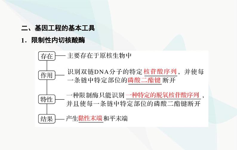 2024届人教版高考生物一轮复习基因工程及生物技术的安全性与伦理问题课件（单选版）05