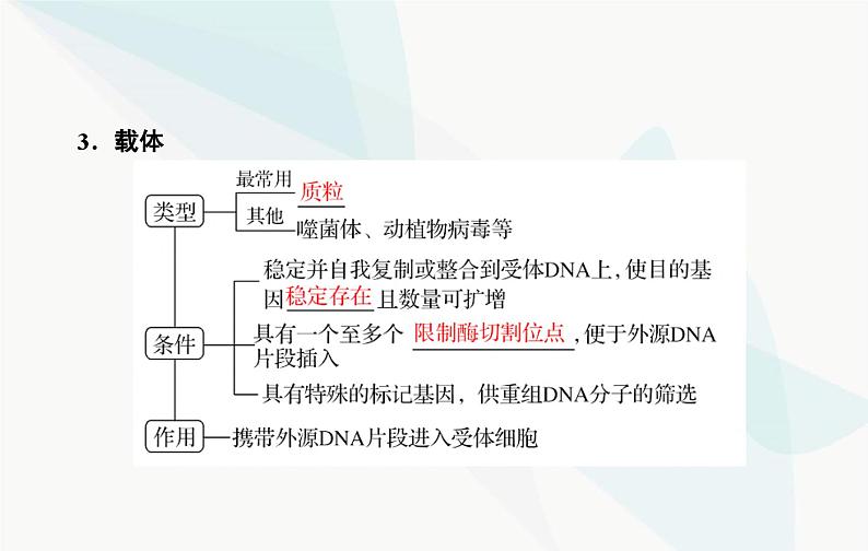 2024届人教版高考生物一轮复习基因工程及生物技术的安全性与伦理问题课件（单选版）07