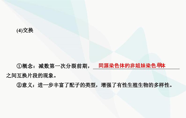 2024届人教版高考生物一轮复习减数分裂和受精作用课件（单选版）第7页