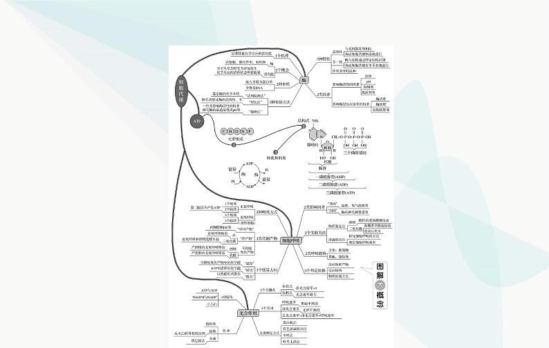 2024届人教版高考生物一轮复习酶和ATP课件（单选版）02