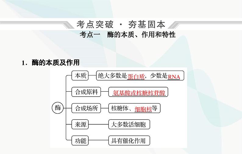 2024届人教版高考生物一轮复习酶和ATP课件（单选版）05