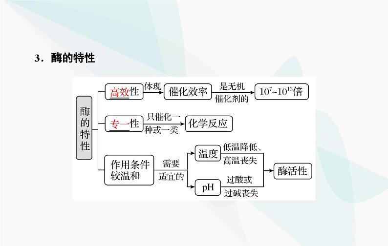 2024届人教版高考生物一轮复习酶和ATP课件（单选版）08